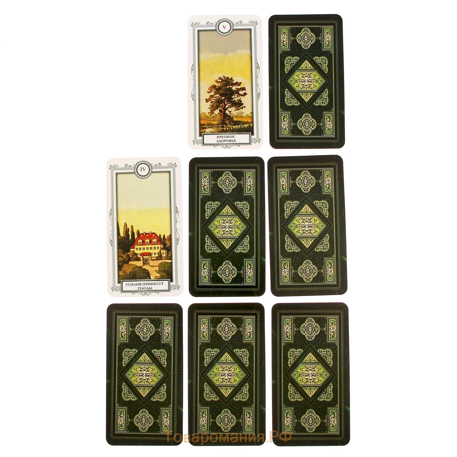 Оракул в подарочной коробке «Для начинающих», 36 карт (6х11 см), 16+