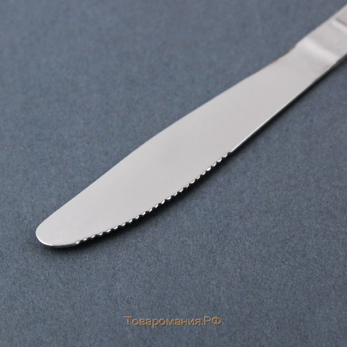 Нож столовый из нержавеющей стали «Пулкин», длина 20,6 см, толщина 2 мм, цвет серебряный