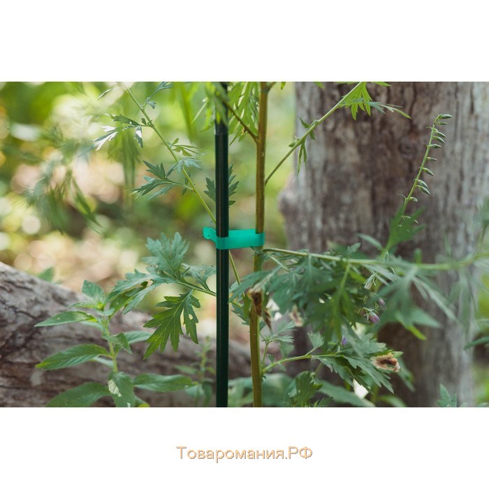 Тапенер для подвязки растений Tapetool «B», лента 25 м + скобы, Greengo