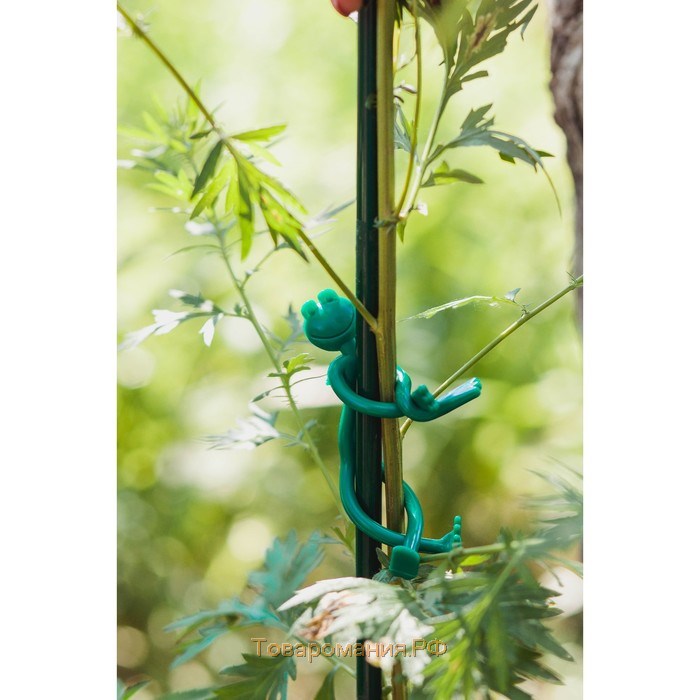 Подвязка для растений «Лягушка», набор 2 шт., зелёная, Greengo
