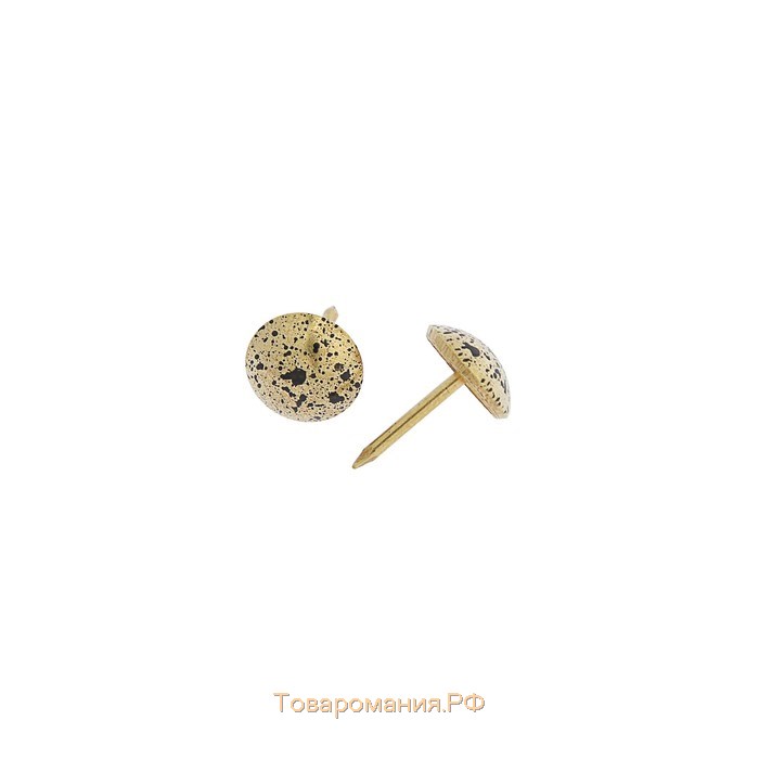 Гвозди ТУНДРА, декоративные, 11х17 мм, античное золото, 500 шт
