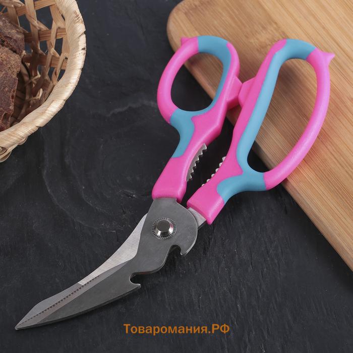 Ножницы кухонные для мяса и рыбы  «Краски», 20 см, МИКС