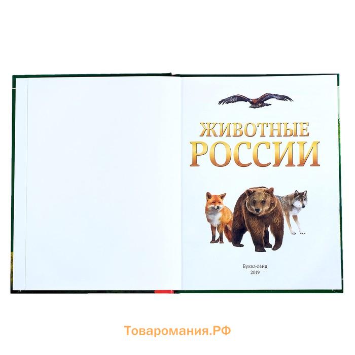 Энциклопедия детская в твёрдом переплёте «Животные России», 48 стр.