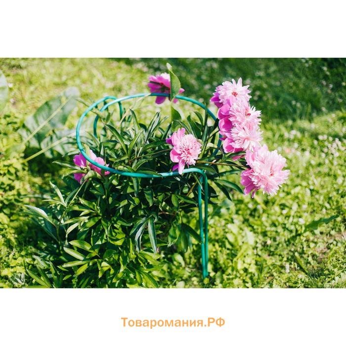 Кустодержатель, d=50 см, h=60 см, ножка d=1 см, металл, набор 2 шт., зелёный
