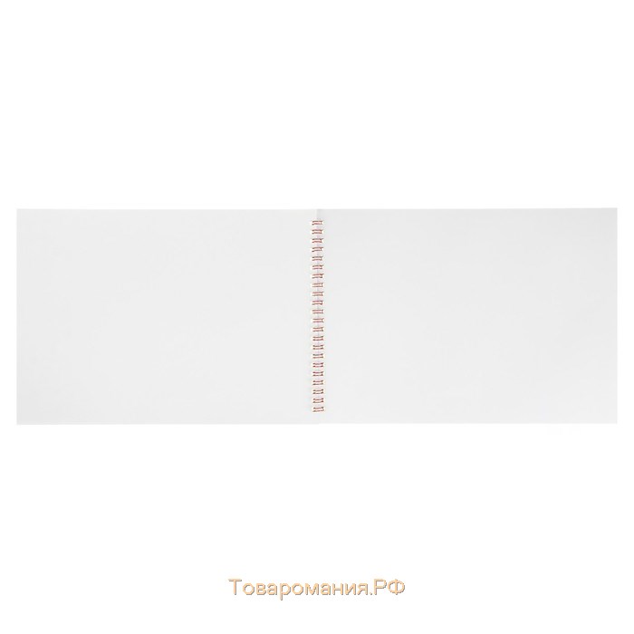 Альбом для рисования А4, 32 листа на гребне "Кеды", обложка мелованный картон, блок 100 г/м²