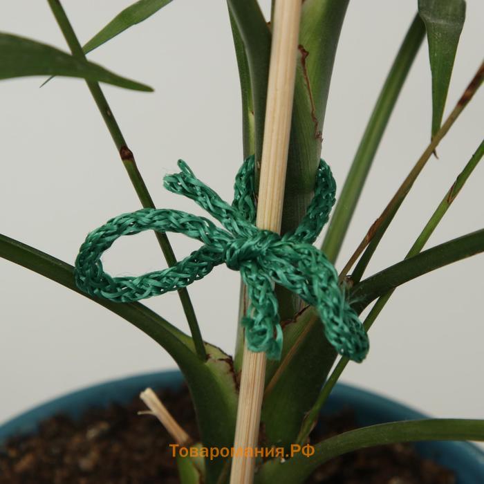 Шнур для подвязки растений, 20 м, зелёный, Greengo