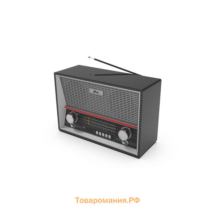 Радиоприемник RITMIX RPR-102, 220 В, Вт. IEC, USB, Jack 3.5, CEE, microSD, цвет карбон