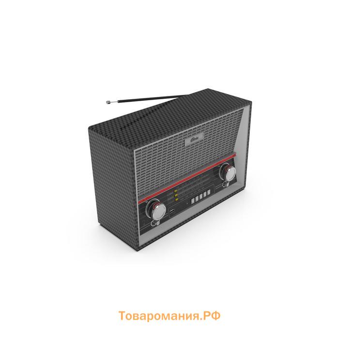 Радиоприемник RITMIX RPR-102, 220 В, Вт. IEC, USB, Jack 3.5, CEE, microSD, цвет карбон