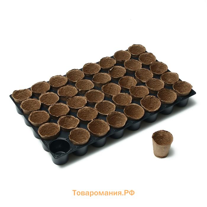 Набор для рассады: торфяной горшок 6×6 см, кассета на 40 ячеек, Greengo