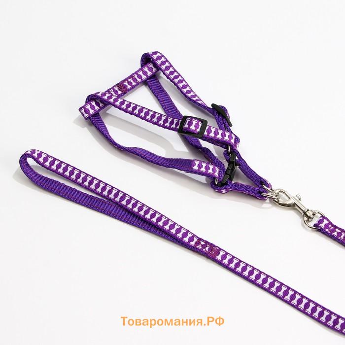 Комплект прошитый "Косточки", ширина 1 см, поводок 120 см, шлейка 23-35 см, фиолетовый