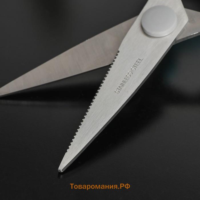 Ножницы кухонные  «Эльба», 22 см, голубые