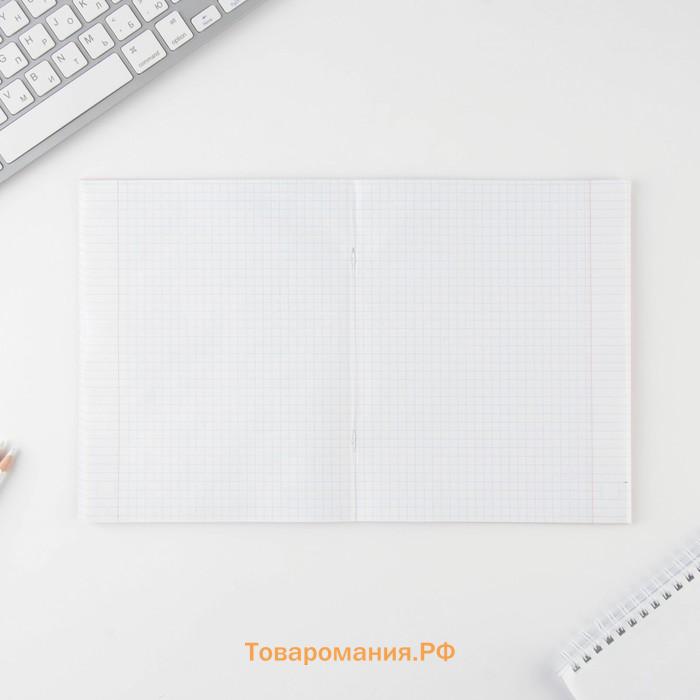 Тетрадь предметная 48 листов «Химия», А5, в клетку, со справочными материалами, обложка мелованный картон 230 г, белизна 96%