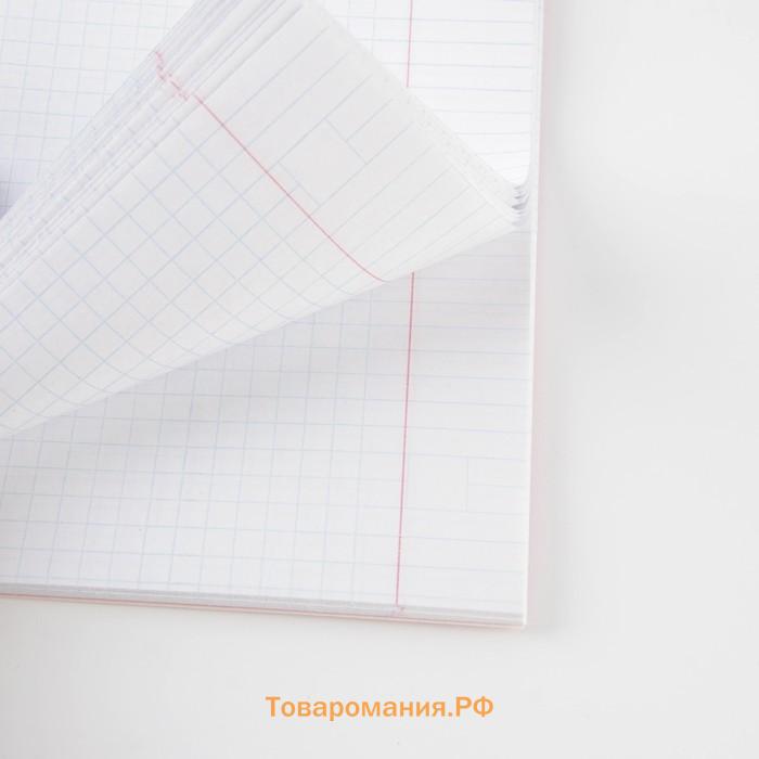 Тетрадь предметная 48 листов «Химия», А5, в клетку, со справочными материалами, обложка мелованный картон 230 г, белизна 96%