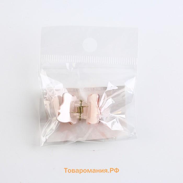 Краб для волос «Милый лисёнок», 1,8 х 2 см