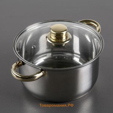 Кастрюля  «Роскошь», 3 л, d=20 см, с крышкой, нержавеющая сталь, капсульное дно