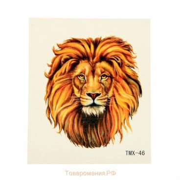 Татуировка на тело "Голова льва" 5,3х6,3 см МИКС