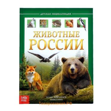 Энциклопедия детская в твёрдом переплёте «Животные России», 48 стр.