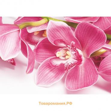 Фотообои "Орхидея" (4 листа)  200*140 см