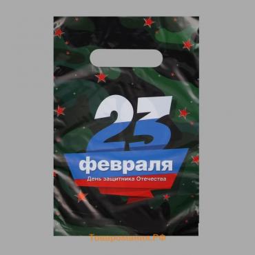 Пакет "23 февраля", полиэтиленовый, с вырубной ручкой, 20 х 30 см, 30 мк