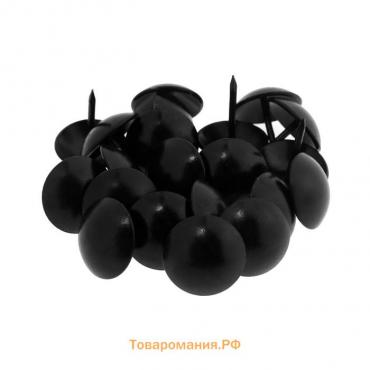 Гвозди ТУНДРА, декоративные, 19х22 мм, черные, 50 шт